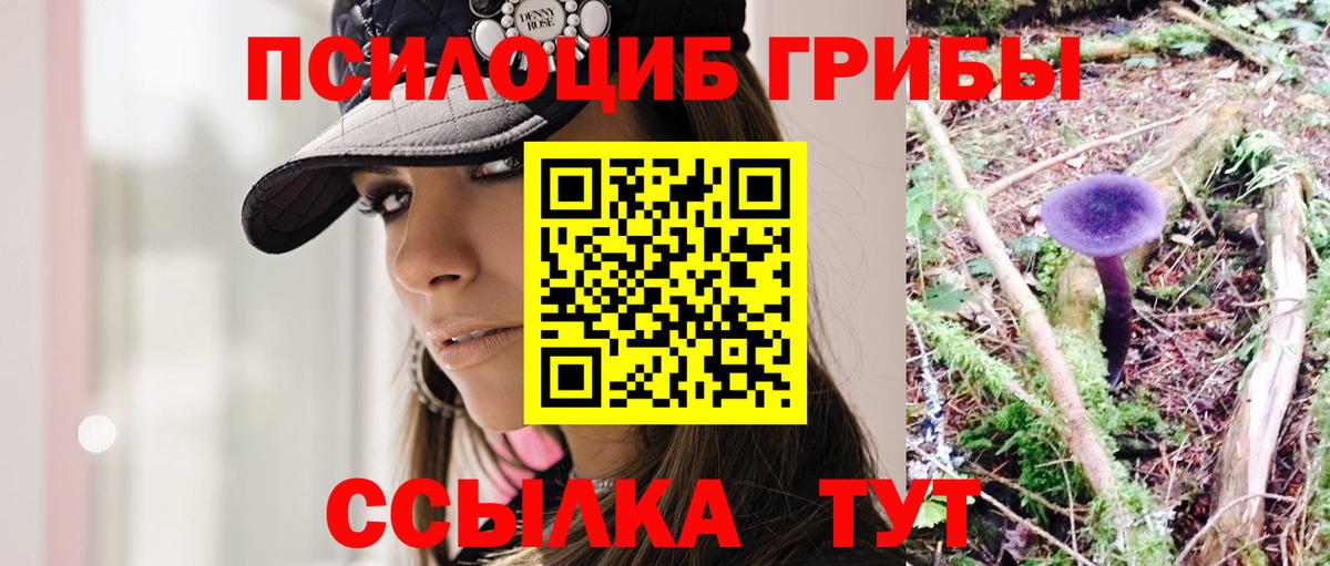 Псилоцибиновые грибы мицелий Новокузнецк