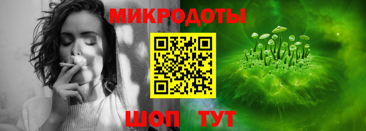 Новокузнецк  Галлюциногенные грибы Psilocybine cubensis  Вход с VPN 